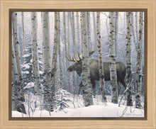 Load image into Gallery viewer, A Walk in the Woods
