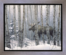 Load image into Gallery viewer, A Walk in the Woods
