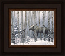 Load image into Gallery viewer, A Walk in the Woods
