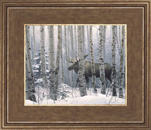 Load image into Gallery viewer, A Walk in the Woods
