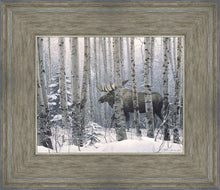 Load image into Gallery viewer, A Walk in the Woods
