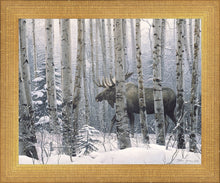 Load image into Gallery viewer, A Walk in the Woods
