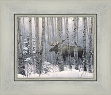 Load image into Gallery viewer, A Walk in the Woods
