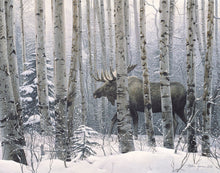 Load image into Gallery viewer, A Walk in the Woods
