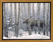 Load image into Gallery viewer, A Walk in the Woods
