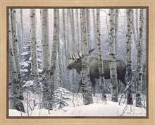 Load image into Gallery viewer, A Walk in the Woods
