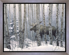 Load image into Gallery viewer, A Walk in the Woods
