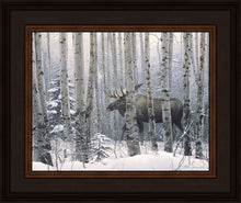 Load image into Gallery viewer, A Walk in the Woods
