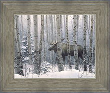 Load image into Gallery viewer, A Walk in the Woods
