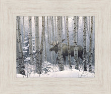 Load image into Gallery viewer, A Walk in the Woods
