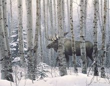 Load image into Gallery viewer, A Walk in the Woods
