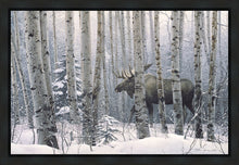 Load image into Gallery viewer, A Walk in the Woods
