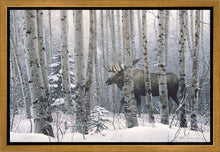 Load image into Gallery viewer, A Walk in the Woods
