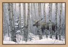 Load image into Gallery viewer, A Walk in the Woods
