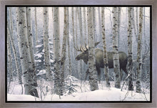 Load image into Gallery viewer, A Walk in the Woods
