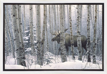Load image into Gallery viewer, A Walk in the Woods

