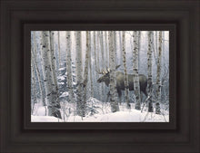 Load image into Gallery viewer, A Walk in the Woods
