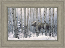 Load image into Gallery viewer, A Walk in the Woods
