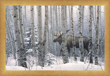 Load image into Gallery viewer, A Walk in the Woods
