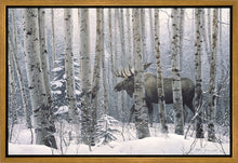 Load image into Gallery viewer, A Walk in the Woods
