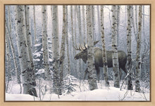 Load image into Gallery viewer, A Walk in the Woods
