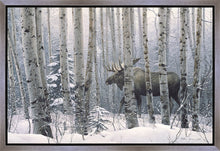 Load image into Gallery viewer, A Walk in the Woods
