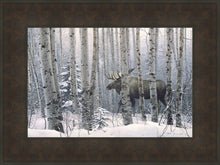 Load image into Gallery viewer, A Walk in the Woods
