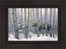 Load image into Gallery viewer, A Walk in the Woods
