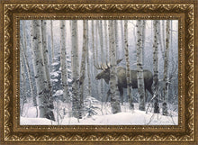 Load image into Gallery viewer, A Walk in the Woods
