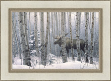 Load image into Gallery viewer, A Walk in the Woods
