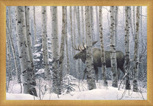 Load image into Gallery viewer, A Walk in the Woods
