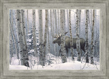 Load image into Gallery viewer, A Walk in the Woods
