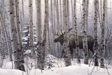 Load image into Gallery viewer, A Walk in the Woods
