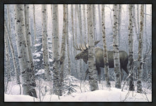 Load image into Gallery viewer, A Walk in the Woods
