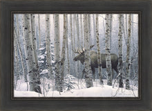 Load image into Gallery viewer, A Walk in the Woods
