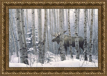 Load image into Gallery viewer, A Walk in the Woods
