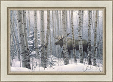 Load image into Gallery viewer, A Walk in the Woods
