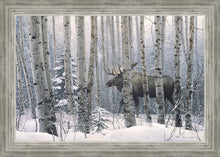 Load image into Gallery viewer, A Walk in the Woods
