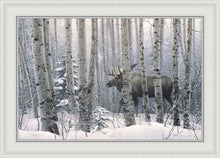 Load image into Gallery viewer, A Walk in the Woods

