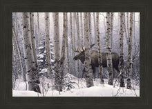 Load image into Gallery viewer, A Walk in the Woods
