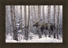 Load image into Gallery viewer, A Walk in the Woods
