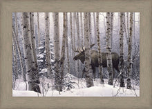 Load image into Gallery viewer, A Walk in the Woods
