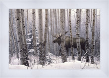 Load image into Gallery viewer, A Walk in the Woods
