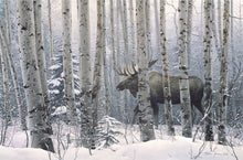 Load image into Gallery viewer, A Walk in the Woods
