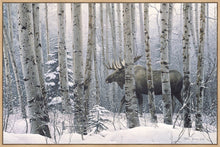 Load image into Gallery viewer, A Walk in the Woods
