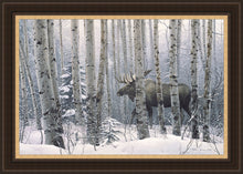 Load image into Gallery viewer, A Walk in the Woods
