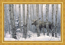 Load image into Gallery viewer, A Walk in the Woods
