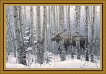 Load image into Gallery viewer, A Walk in the Woods
