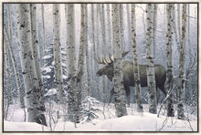 Load image into Gallery viewer, A Walk in the Woods
