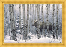 Load image into Gallery viewer, A Walk in the Woods
